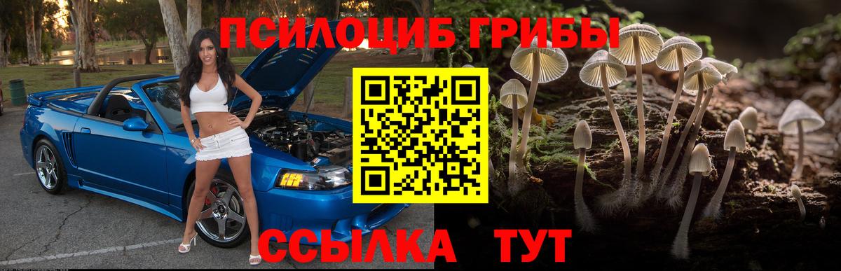 Электросталь  Галлюциногенные грибы прущие грибы  Вход с VPN 